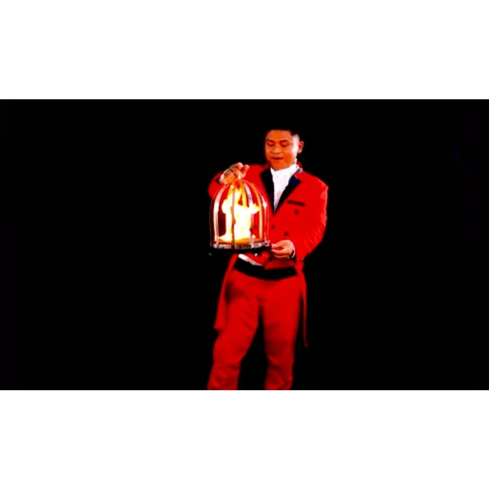 ‌Automatic Fire Cage Magic Trick - Realistic Doves Appearing from Empty Cage Illusion