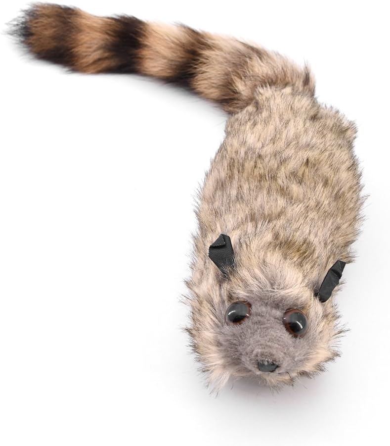 The Rocky Raccoon Robbie Magic Tricks Spring Animal Appearing Magic
