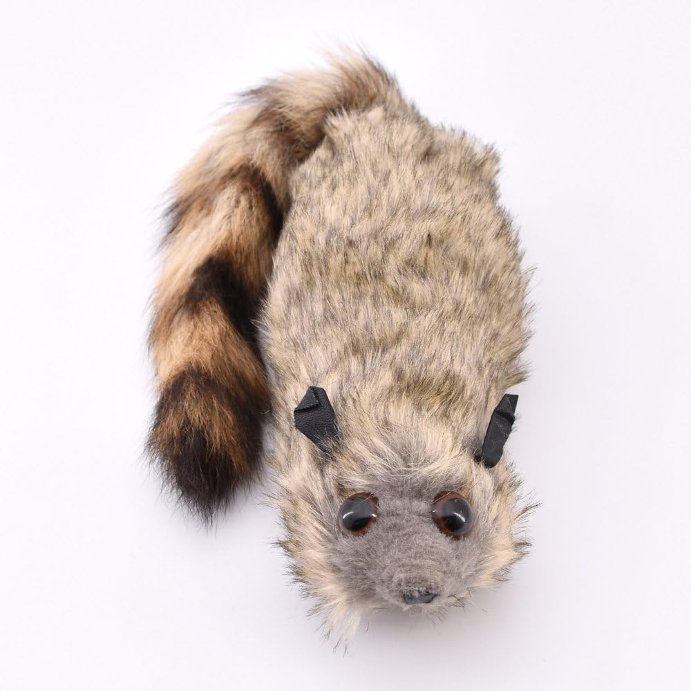 The Rocky Raccoon Robbie Magic Tricks Spring Animal Appearing Magic