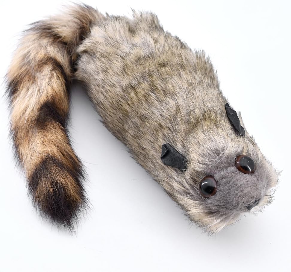 The Rocky Raccoon Robbie Magic Tricks Spring Animal Appearing Magic