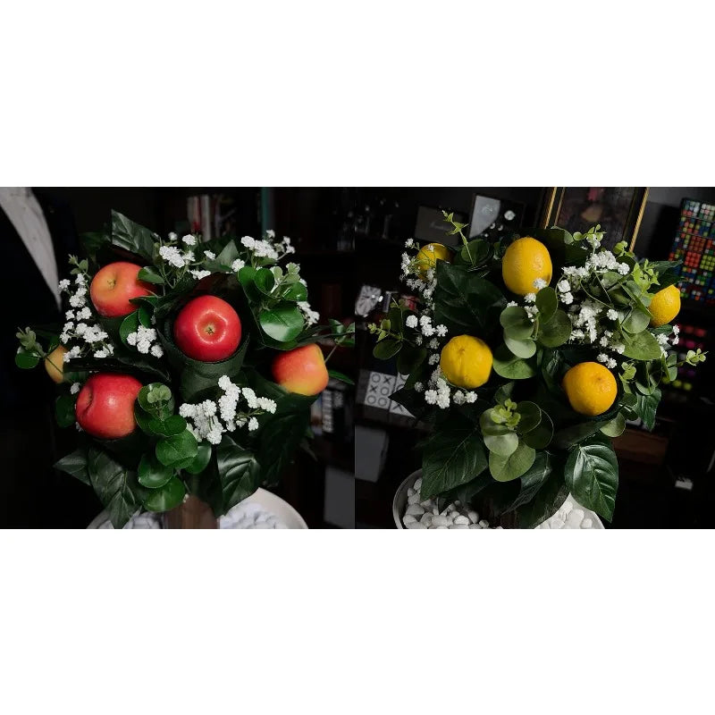 Grace The Magical Plant Magic Tree Appear Blooming Orange Tree Magic Tricks