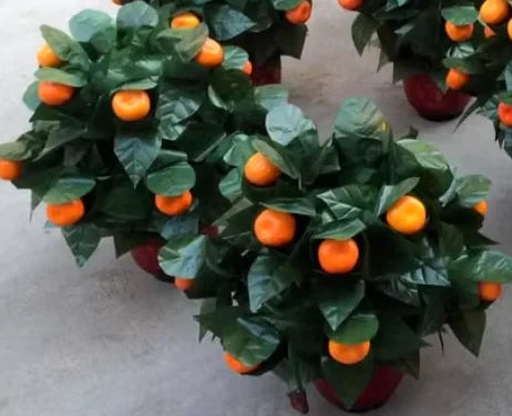 ‌10 Roses Blooming Flower Remote Control Magic Prop for Weddings & Parties Flower Trick