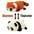 Morphing Companion Magic Tricks Panda to Red Panda Change Visual Transformation