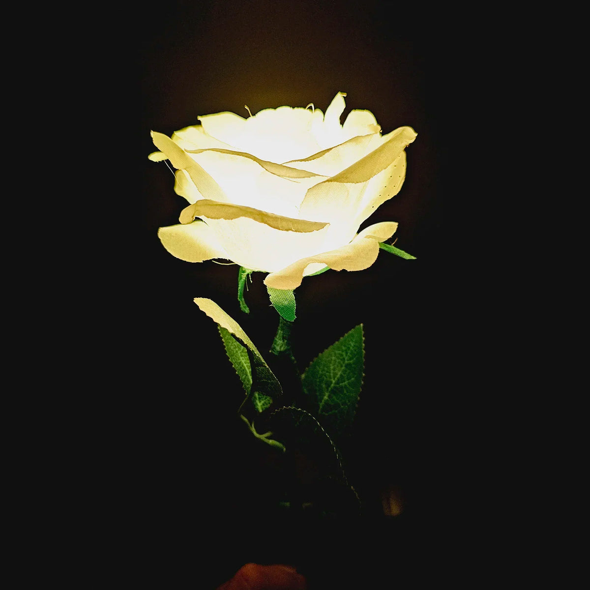 Seven-Color Light Rose Stage Magic Tricks Color Changing Flower Magia
