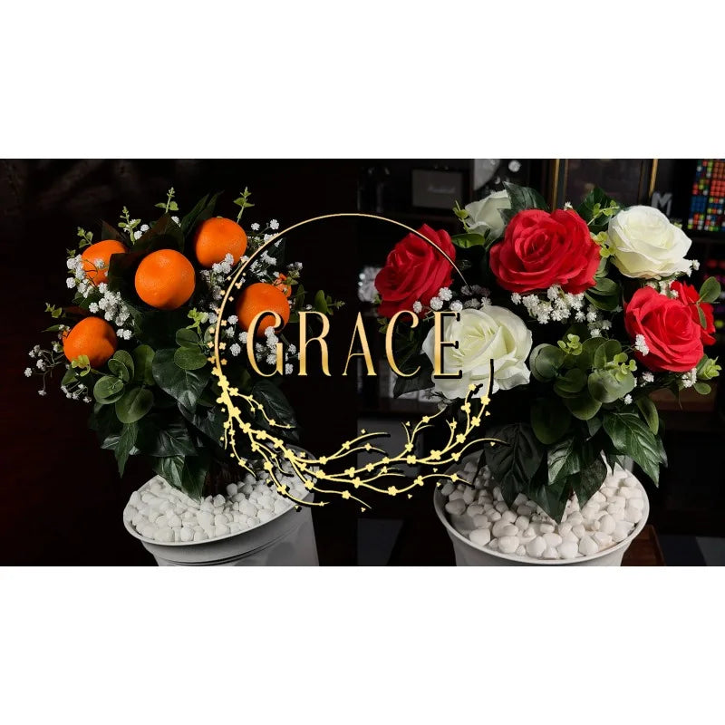Grace The Magical Plant Magic Tree Appear Blooming Orange Tree Magic Tricks