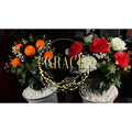 Grace The Magical Plant Magic Tree Appear Blooming Orange Tree Magic Tricks