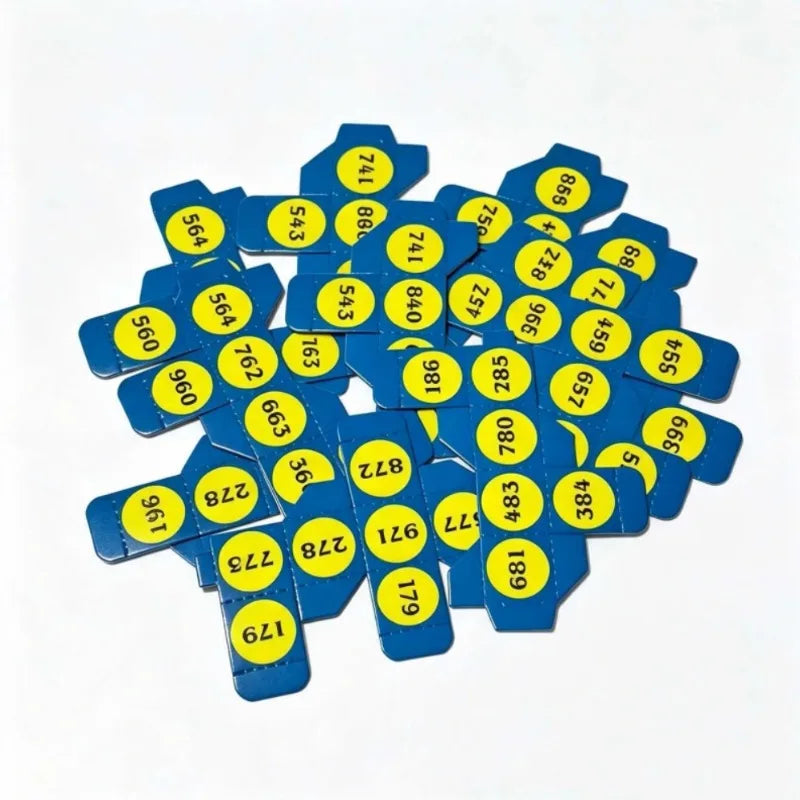 Speed Math Dice The Instant Mental Calculation Miracle Mentalism Magic Tricks