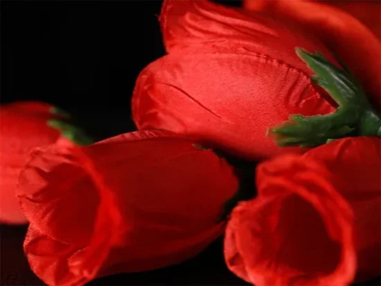 The Rose 2.0 (Red) by Bond Lee Fire Rose 1 To 4 Stage Magic Props
