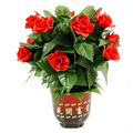 ‌10 Roses Blooming Flower Remote Control Magic Prop for Weddings & Parties Flower Trick