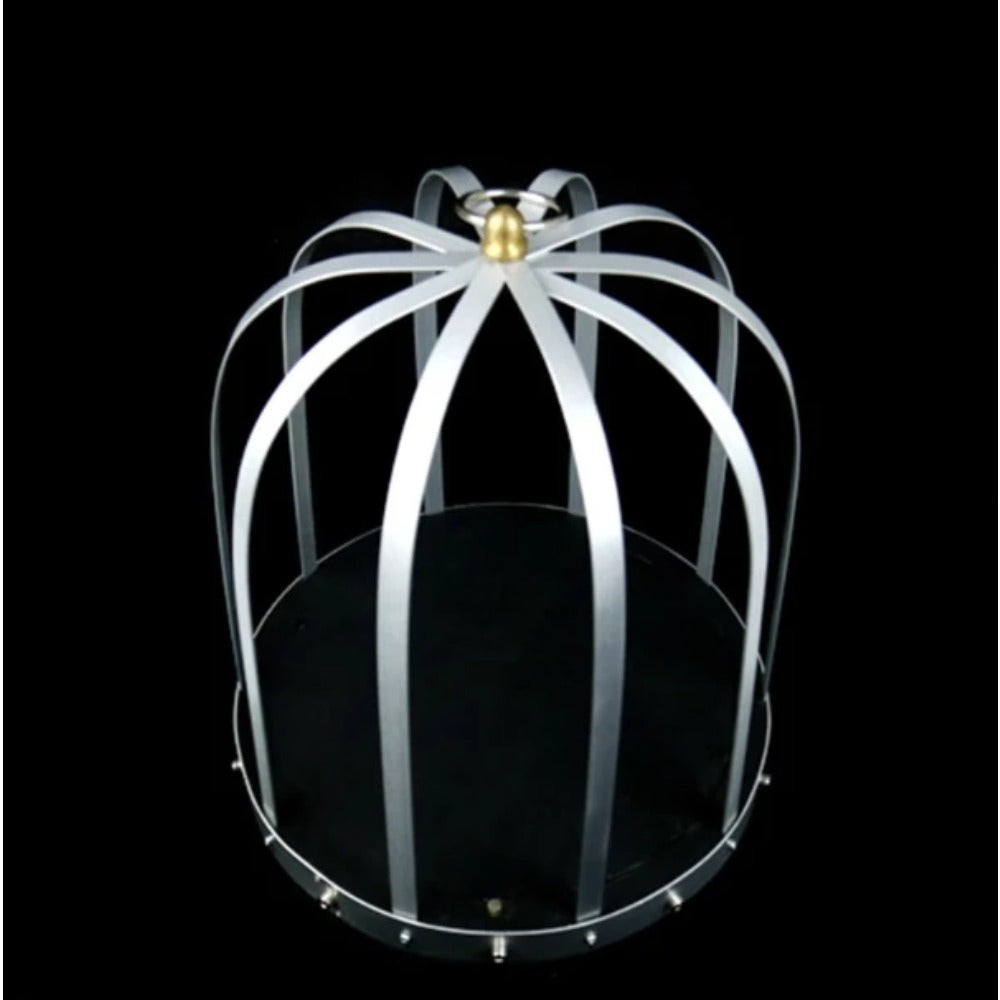 ‌Automatic Fire Cage Magic Trick - Realistic Doves Appearing from Empty Cage Illusion